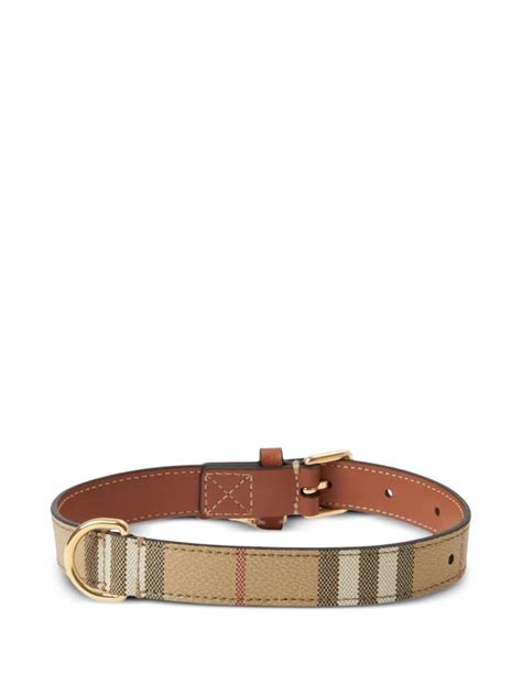 Hundehalsband burberry .